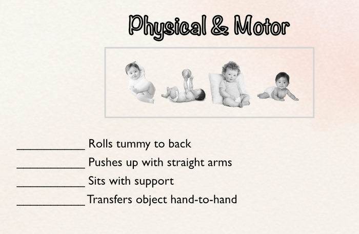 Close-up of the Physical & Motor category on the 4-6 Months chart